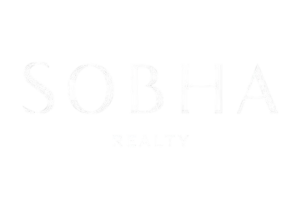 WhatsApp_Image_2024-09-30_at_11.27.32_AM-removebg-preview